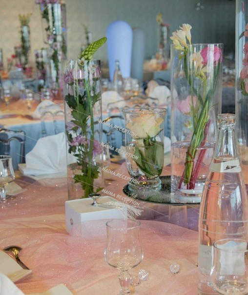 naima reception